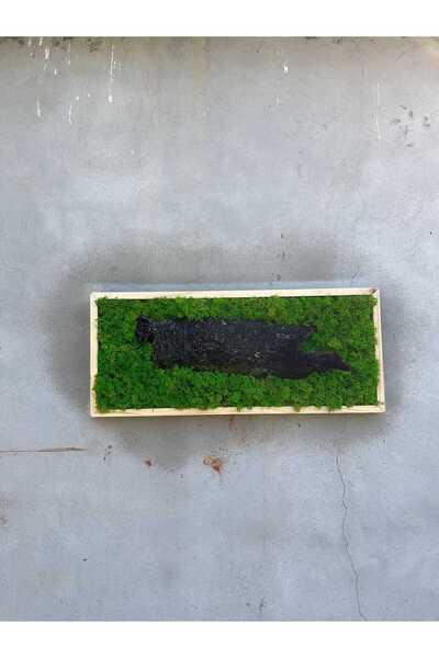 Narium Cadru din mușchi stabilizat 70×30 cm