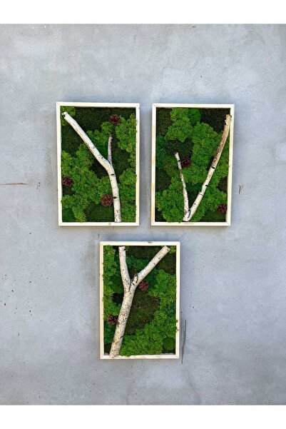 Narium SET Tablou cu licheni stabilizati 60×50 cm