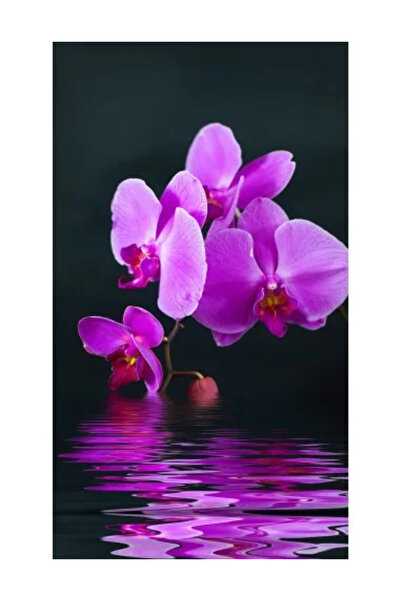 Trio Decorative electric radiant panel TRIO, infrared heating 420 W/ 210 W, model