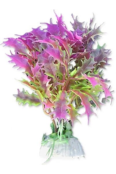HAPPET Planta Artificiala Pentru Acvariu, Blister, 10 cm, Roz/Verde, 1B12