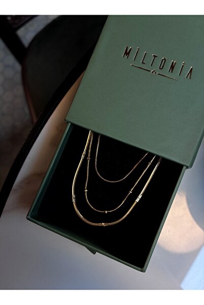Miltonia Top Zincir Çelik Kolye