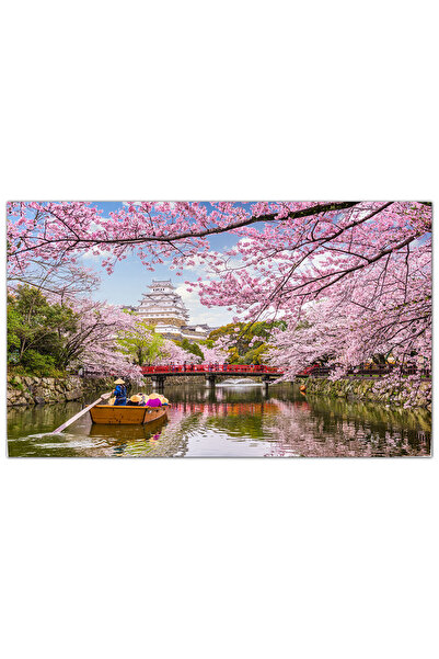 Generic Canvas Wall Art - Sakura Tree View - 729
