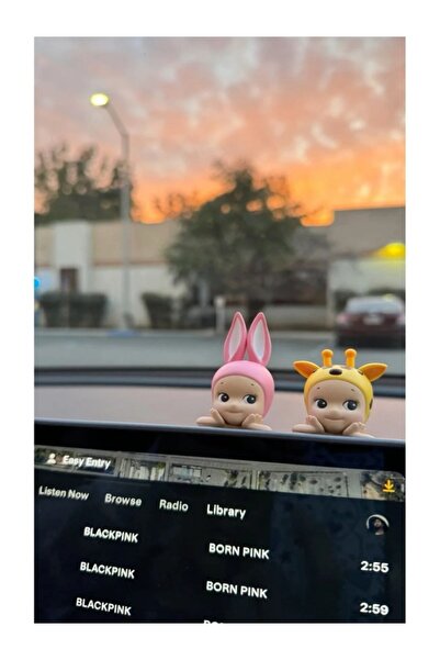 Sonny Angel Dreaming Hippers (6'lı paket)