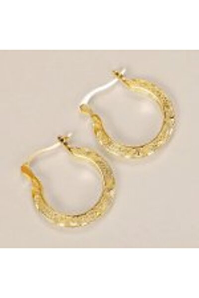 OEM Elegant Round Earrings in S925 Silver Plated with 14K Gold – Royal Shine and Eternal Refinement