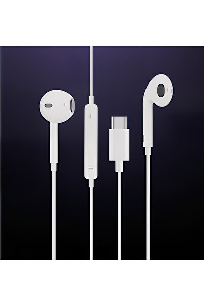 rangmobil iPad Pro / iPad Air / iPad mini uyumlu Kablolu USB-C Kulak İçi Kula...