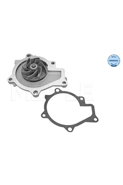 MEYLE Pompa De Apa Racire Motor Hyundai Santa Fe 2/IX35 Kia Carnival / Grand ...