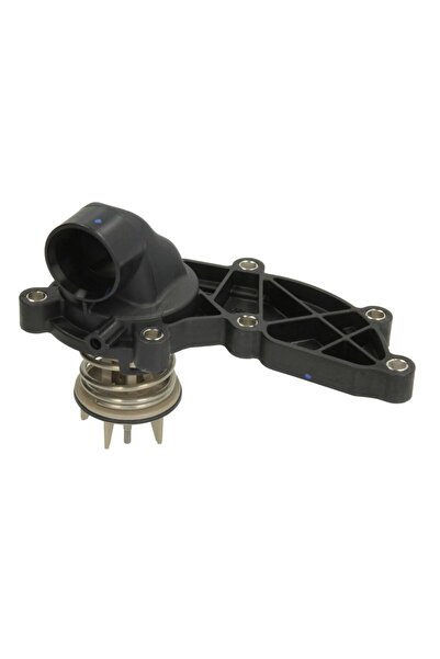 VERNET Car thermostat, Porsche CAYENNE (92A)