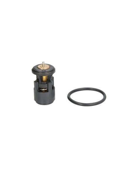 Thermotec Car thermostat, Volkswagen POLO IV (9N_, 9A_)