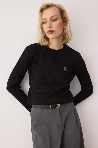Trendyol Collection Pulover tricotat subțire cu împletitură de păr brodat cal negru TWOAW26KZ00122