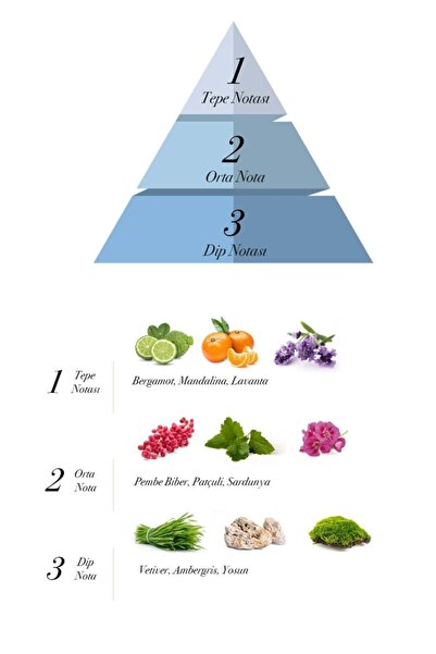 prova Dear Savage Edp Aromatik Erkek Parfüm 120 ml