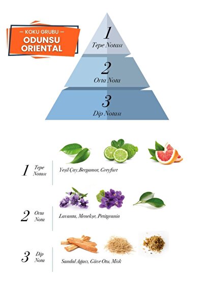 prova Heracles Edp Odunsu Erkek Parfüm 100 ml