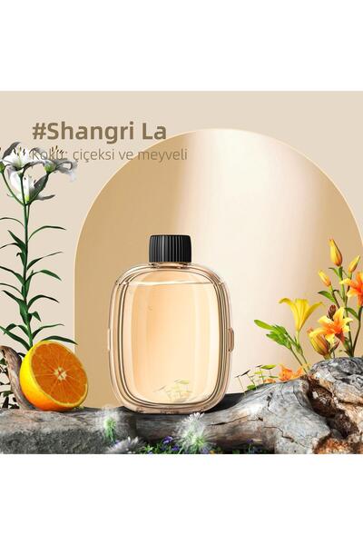 Mioji Mio Smell 2x Aromaterapi Yedek Oda Kokusu - Shangri-la Kokusu (1 adet)
