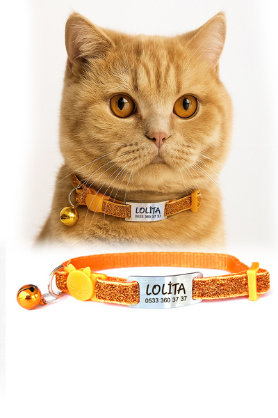 dekoliva Parlak Sim Desenli Safety Click Sallanmayan Kedi Tasması Metal Isiml...