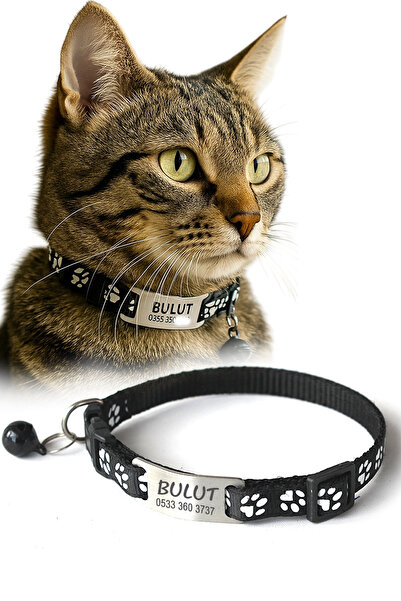 dekoliva Sallanmayan Kedi Tasması Metal Isimlikli Telefon Numarası Yazılı