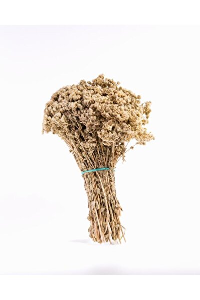 kb köyceğiz yöresel Kekik Çayı 40 G