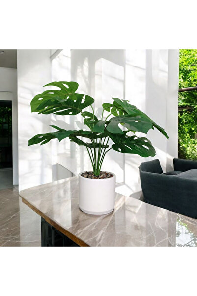 Netsepeti Orta Beton Saksıda 50 Cm Yapay Monstera Devetabani Yapay Çiçek