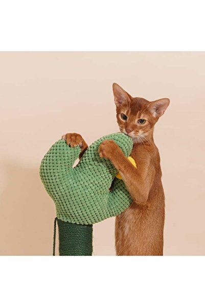 Golden cat ZEZE Cat Scratching Post – Indoor Cat Tree with Plush Fabric, Sisal Rope, 35cm X 35cm X 65cm