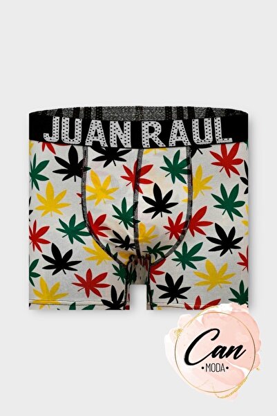 Juan Raul Multicolored Leaf Patterned Men's Boxers - Db260