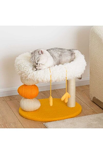 Golden cat Chick Platform, Cat Scratch Post with Bed, Cat Nest Cat Tree All in One, SIZE - 40cm x 49cm x 43cm