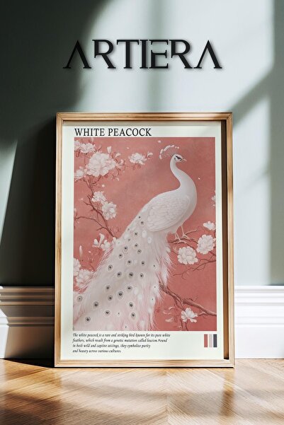 HİGUERA White Peacock – Μοντέρνα Ζωγραφική τοίχου με φυσικό ξύλινο πλαίσιο τη...