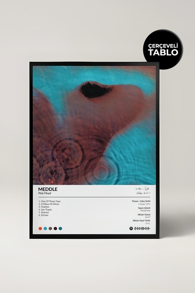 House Gorgeous Poster Spotify cu cadru pentru albumul Pink Floyd Meddle