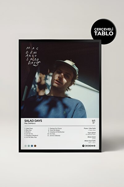 House Gorgeous Mac Demarco Salad Days Poster cu designul albumului pe Spotify