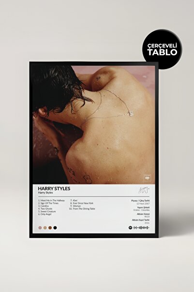 House Gorgeous Afis cu design de album Harry Styles pentru Spotify