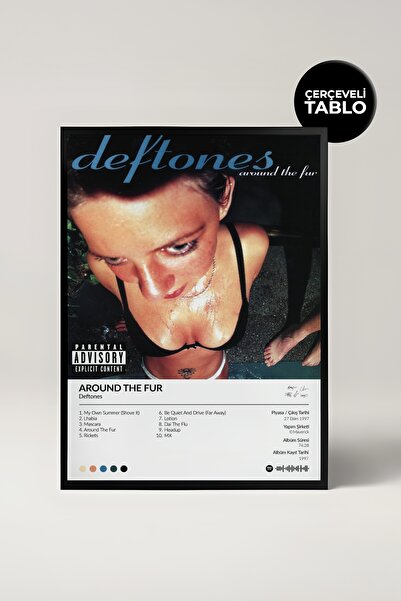 House Gorgeous Deftones Around The Fur Album Designat ca pictură poster Spotify