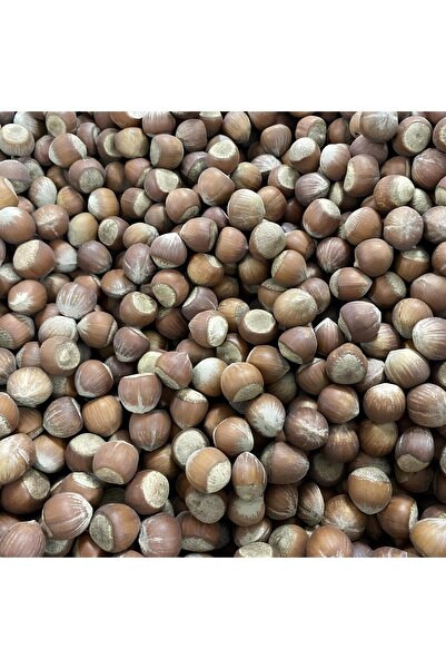 ŞengülKozmetik Trabzon Yeni Mahsül (2025) Kabuklu Fındık 500 gr ( Kendi Mahsülümüz)