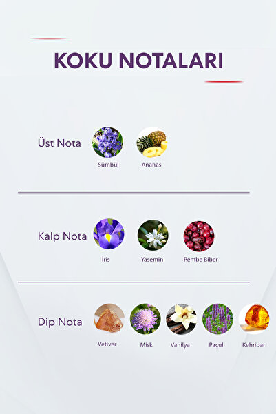 Bargello No.476 Unisex Harmony Edition 50 ml Perfume Edp