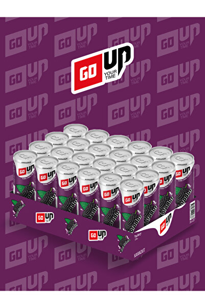 GoUp 24'lü Go Up Karadut Aromalı Gazlı İçecek