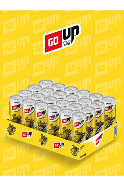 GoUp 24'lü Go Up Ananas Aromalı Gazlı İçecek