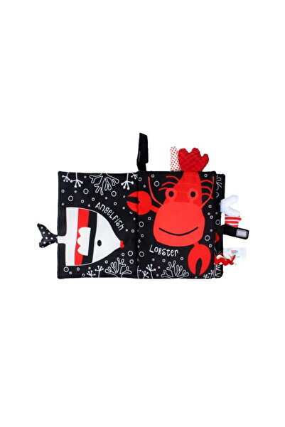 Empria Carte Senzoriala Contrastanta pentru Bebelusi Explorarea Contrastelor, 18.5 x 15 x 3 cm, Ocean