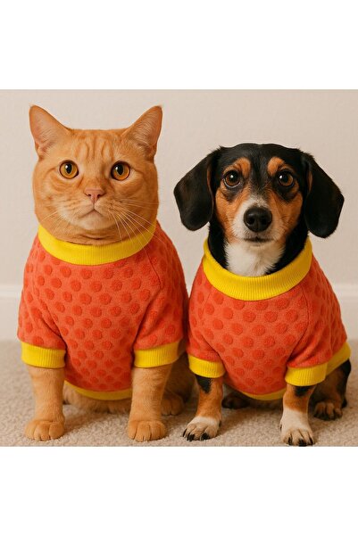 Barneystore Polka Dot Cat Dog Sweat - Embossed Design