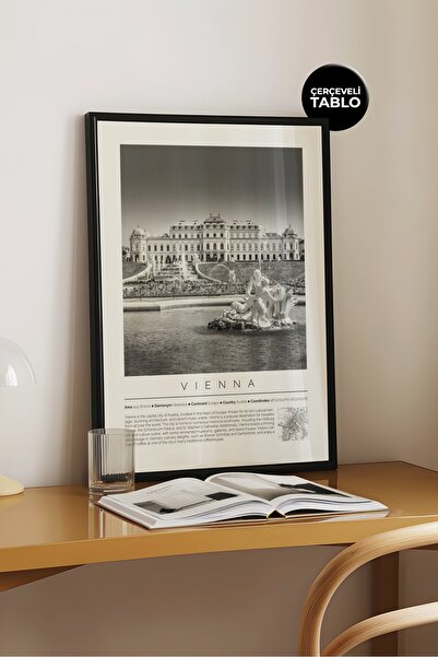 House Gorgeous Viena Austria World Cities Collection Poster cu cadru monocrom
