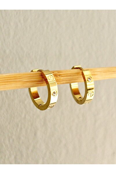 Siya Silver أقراط مرصعة بالأحجار - 316L من الفولاذ المقاوم للصدأ، موديل العلامة التجارية