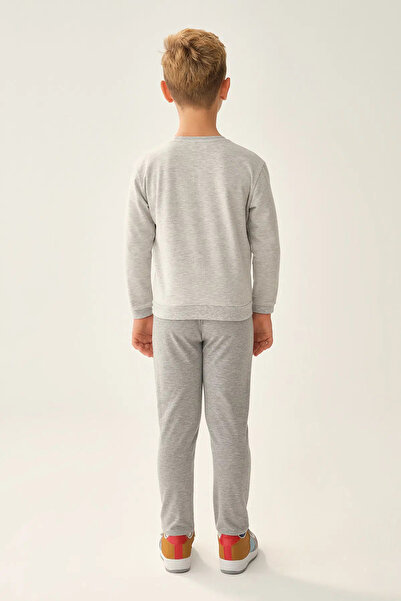 Dagi Gri Erkek Çocuk Sweatshirt