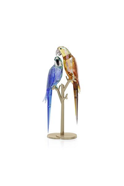 Swarovski 5619218 Biblo Jungle Beats:parrot Couple