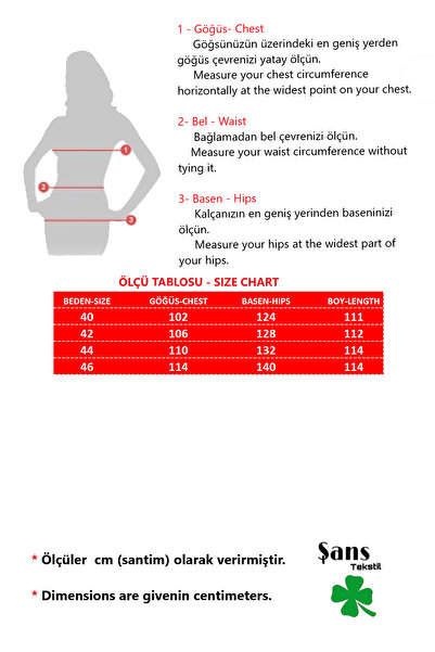 Şans Women's Large Size Colorful Lined Chiffon Dress 65n26549