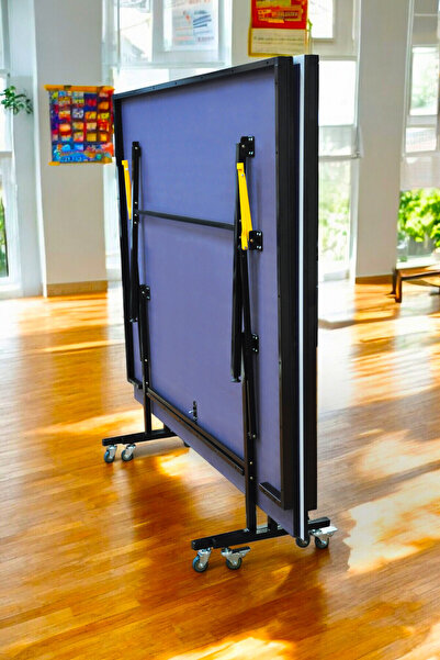 Dynamic Delux Lite Indoor Masa Tenisi Masası - 16mm 2 Raket 3 Top Ağdemir Set Hediye