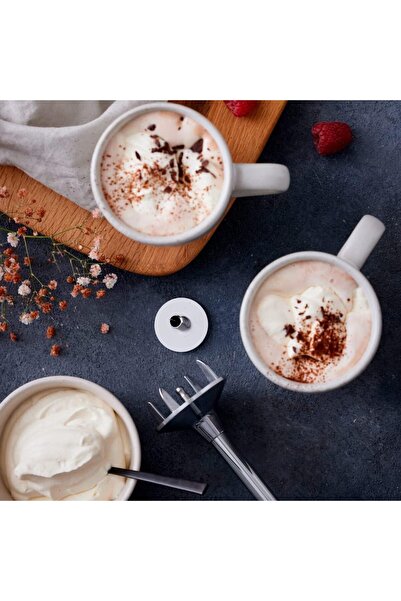 Bamix M350, MAXX EL BLENDERİ ÖMÜR BOYU MOTOR GARANTİLİ 350W,4 BIÇAKLI-BEYAZ