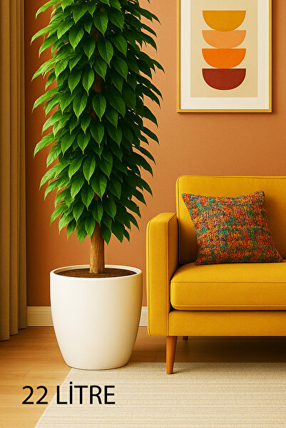 TEMMUZ HOME “1 Adet No:5 –22 Litre Tabaksız Drenaj Izgaralı, Büyük Boy Dekoratif Bitki ve Çiçek Saksısı