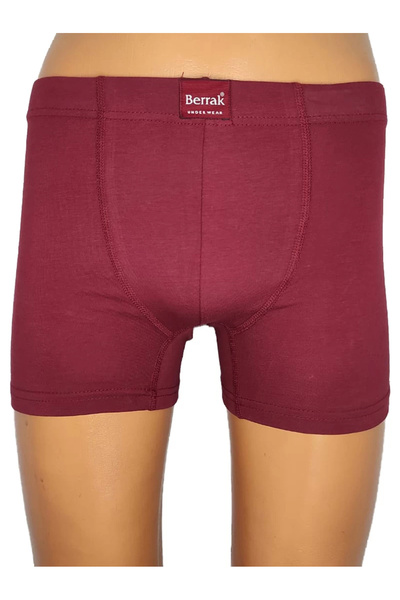 Berrak 4498 Erkek Büyük Beden Renkli Boxer