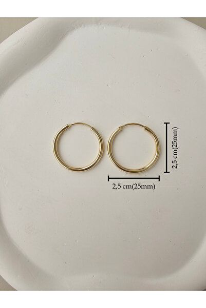 Zivazer Store kadın çelik kararmaz xuping günlük halka küpe