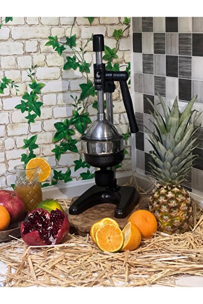 Kale Termos 1701 Fruit Press