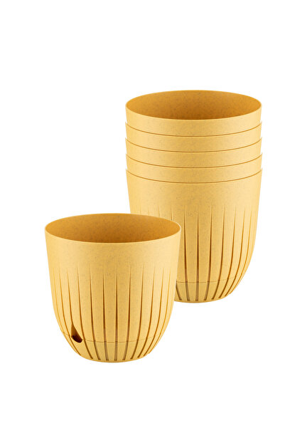 ToXA 6 Adet Çizgi Saksı Seti 1 Litre Plastik Delikli Tabaklı Çiçek Saksısı Set