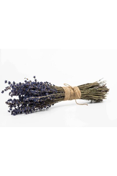 Lavanda Sudului Buchet de lavandă