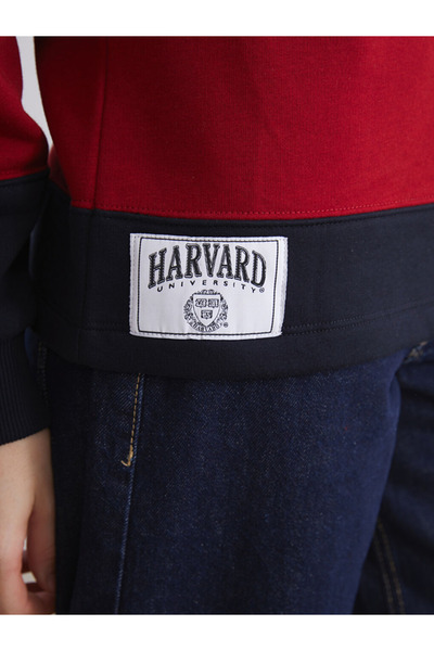 LC Waikiki winter collection Polo Yaka Çizgi desenli Oversize Kadın Kalın Sweatshirt city