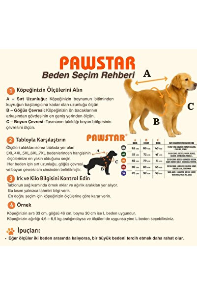 Pawstar Bordo Pooh's Ashdown Winnie Köpek Sweati Köpek Kıyafeti Orta-Büyük Irklar İçin