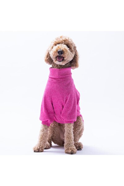 Pawstar Fuşya Pooh's Ashdown Piglet Köpek Sweati Köpek Kıyafeti Kedi Kıyafeti